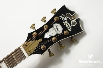 Premier Lexington - Trans Black Cherry Burst